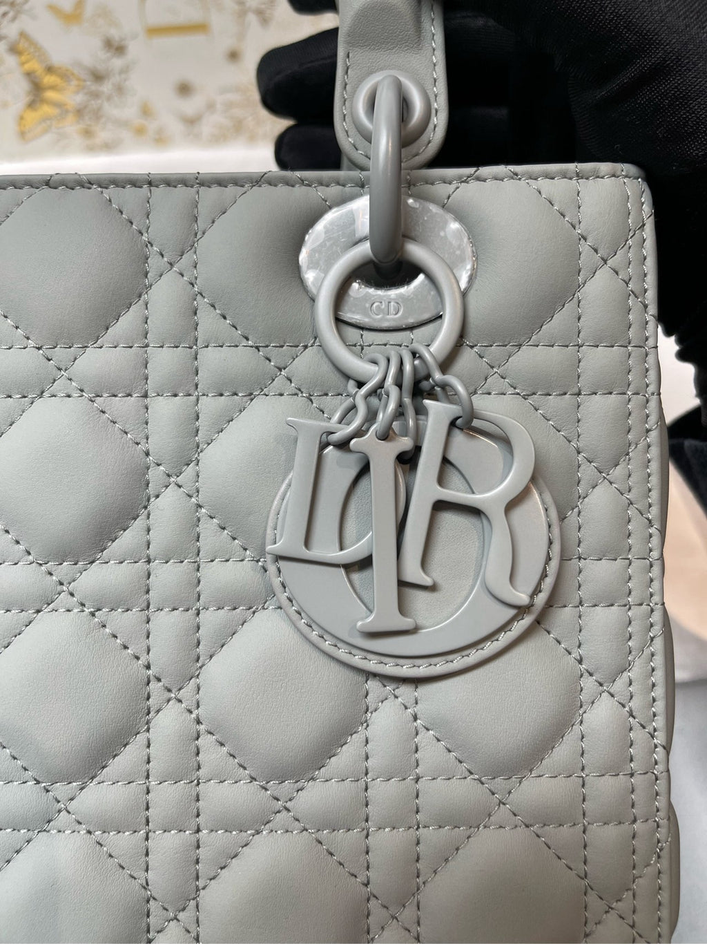 Brand new Dior Empress dowager wuge