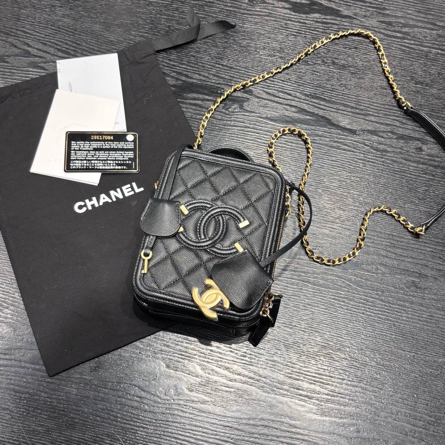 Chanel Camera Bag